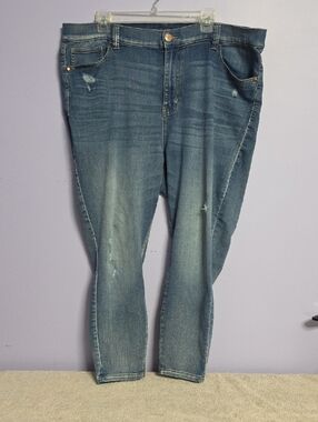 Revery Distressed Skinny Jeans in‎ Faded Blue